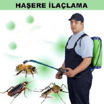 Şalpazarı Böcek İlaçlama